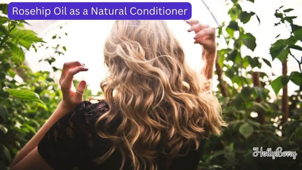 Rosehip Oil as a Natural Conditioner