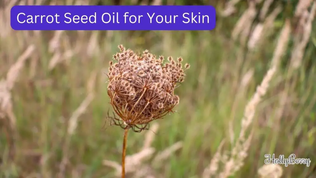 Carrot Seed Oil for Your Skin