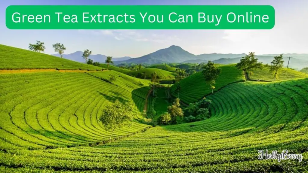 Green Tea Extracts You Can Buy Online