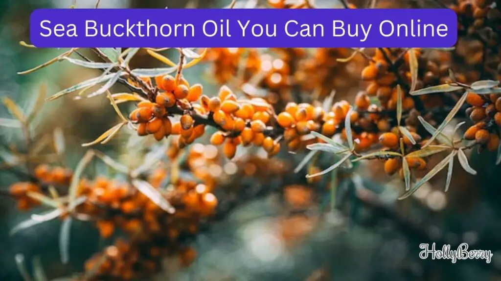 Sea Buckthorn Oil You Can Buy Online